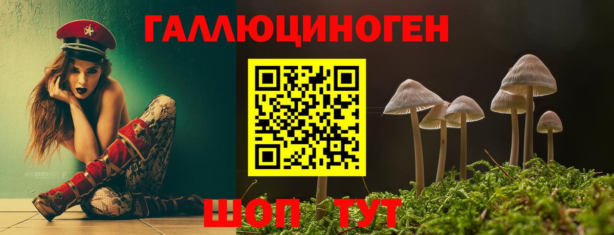 Псилоцибиновые грибы Magic Shrooms  Вход с VPN  Кимры  Галлюциногенные грибы Cubensis 